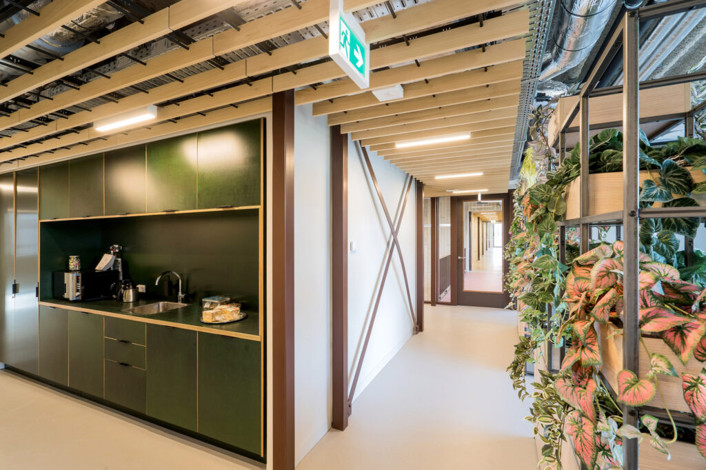 Houten plafond