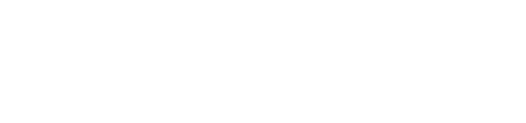 Divitel Logo